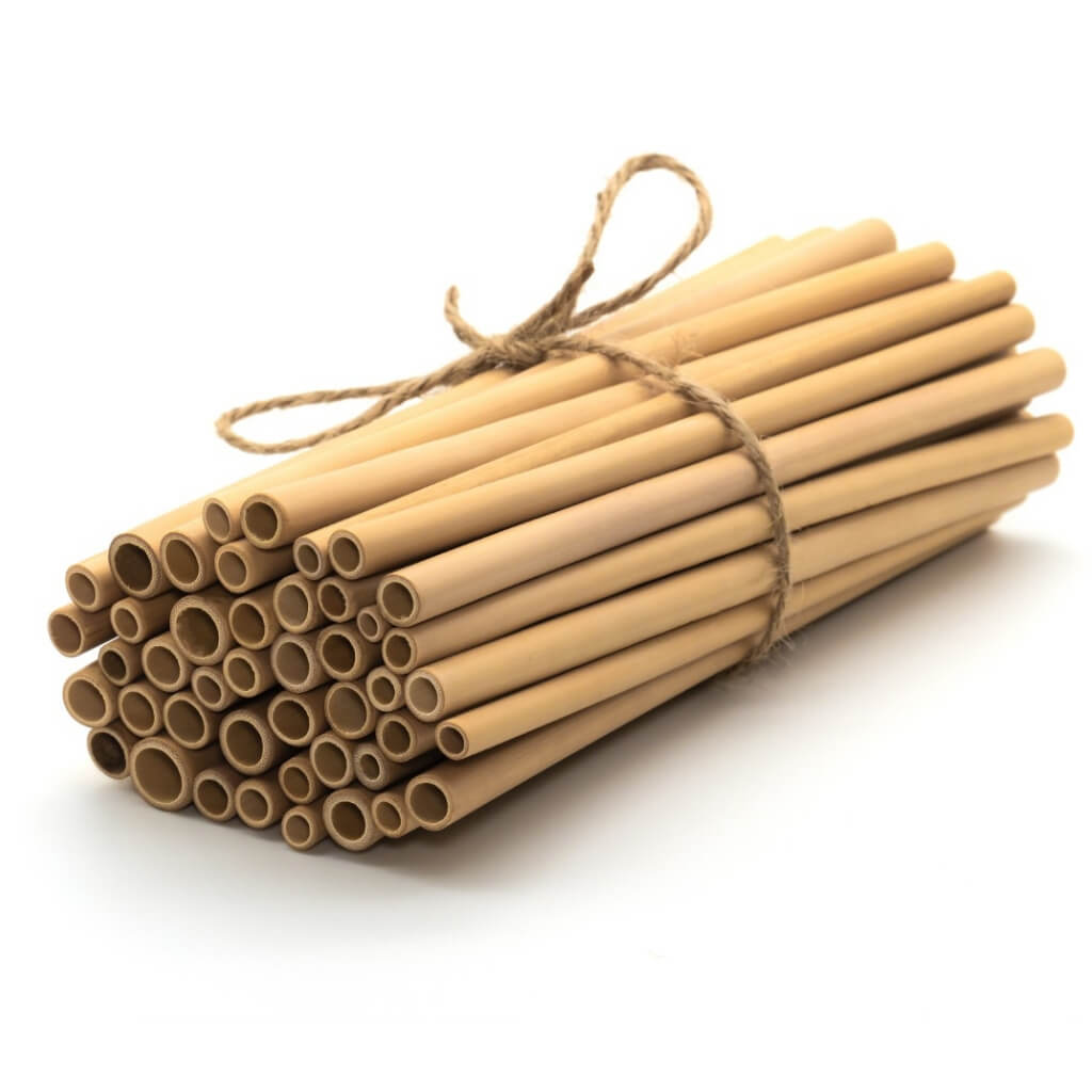 Reusable Jungle Straws Bamboo Drinking Straws | Bulk Pack